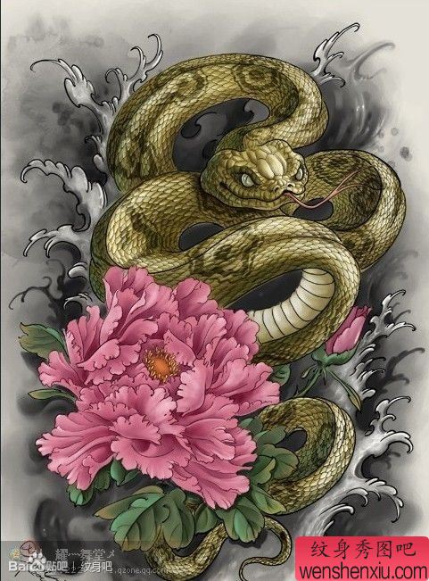 一幅流行很酷的彩色蛇牡丹纹身手稿