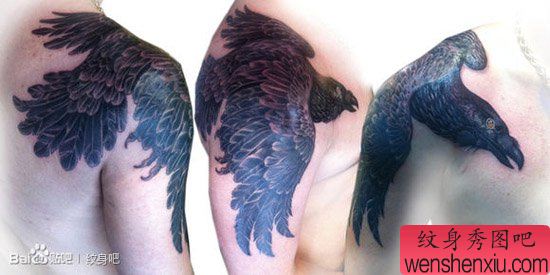 一幅流行很酷的过肩乌鸦纹身图案