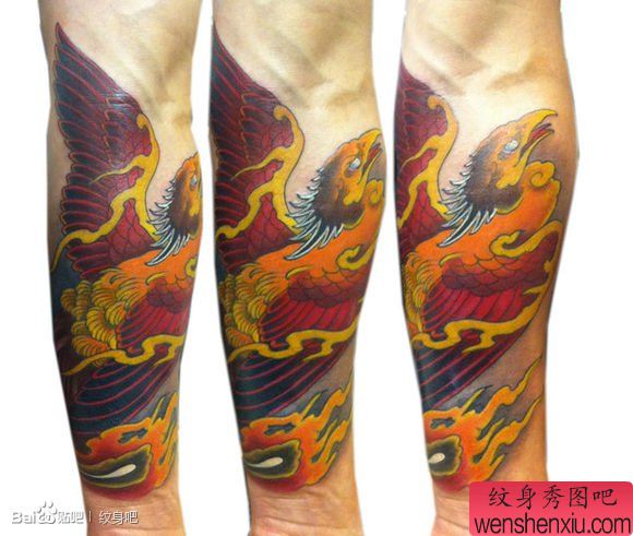 手臂漂亮流行的凤凰纹身图案