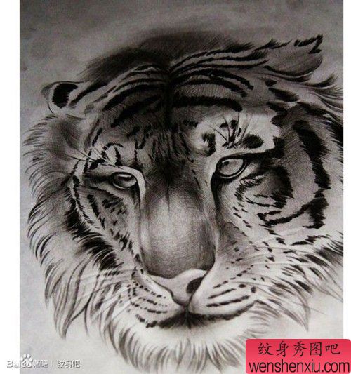 一幅呆呆的虎头纹身手稿