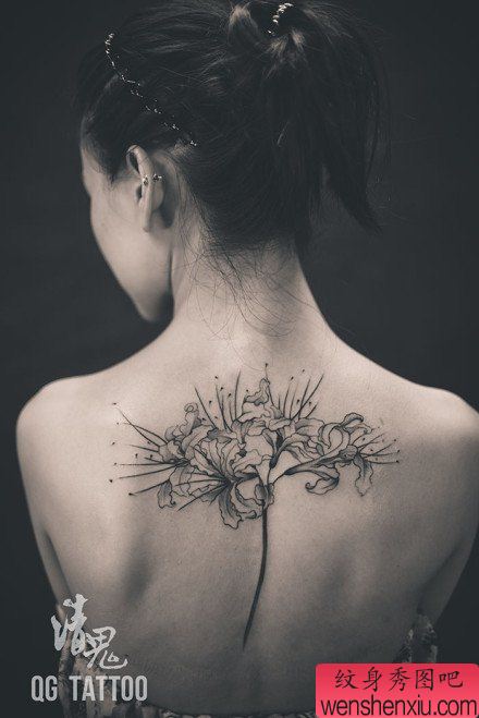 美女后背精美流行的彼岸花纹身图案