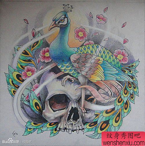 一幅漂亮的孔雀与骷髅纹身手稿