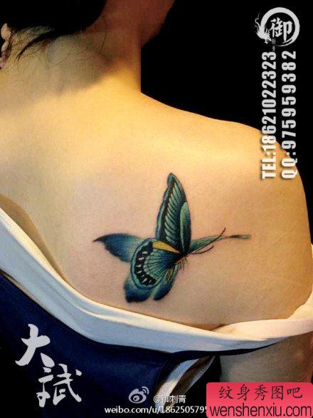 女生后肩背流行漂亮的彩色蝴蝶纹身图案