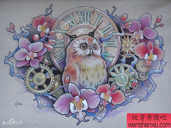 流行经典的猫头鹰与表纹身手稿