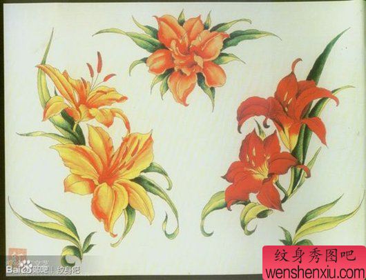 一组漂亮流行的彩色百合花纹身图案