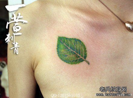 男生前胸流行唯美的叶子纹身图案