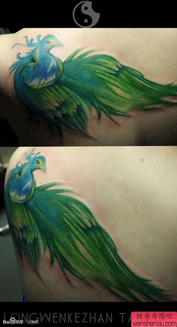 男生后背漂亮的彩色孔雀纹身图案