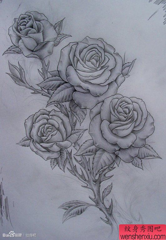 一幅黑白流行的玫瑰花纹身手稿