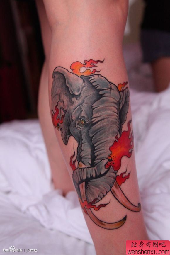 腿部超酷帅气的一幅大象纹身图案