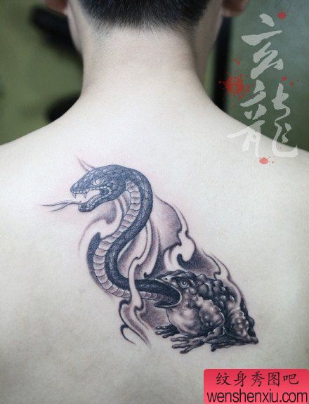男生后背经典帅气的金蝉与蛇纹身图案