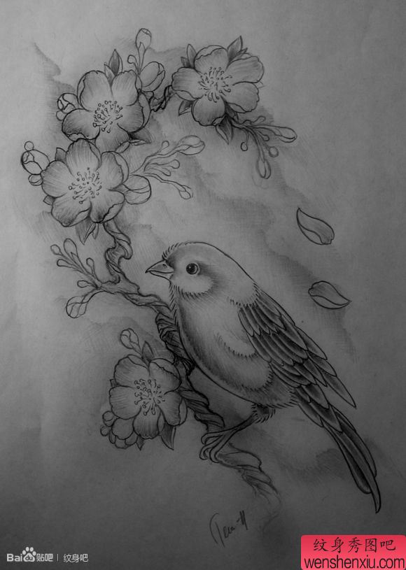 一幅流行流行的喜鹊与梅花纹身手稿