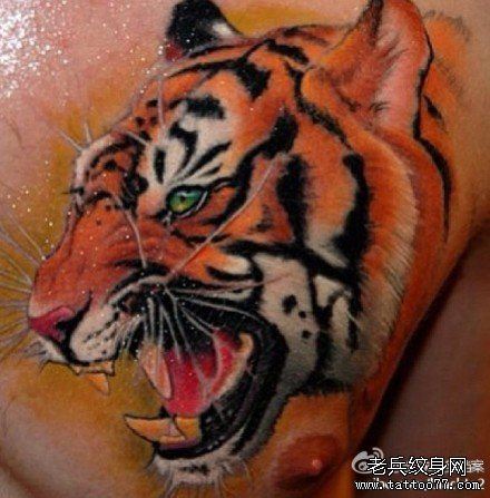 男性前胸霸气超酷的彩色虎头纹身图案