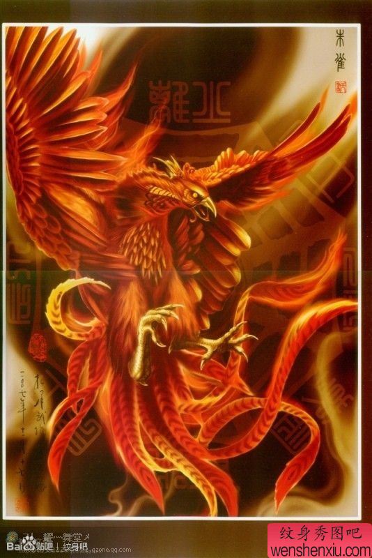 超酷霸气的一幅彩色朱雀纹身手稿
