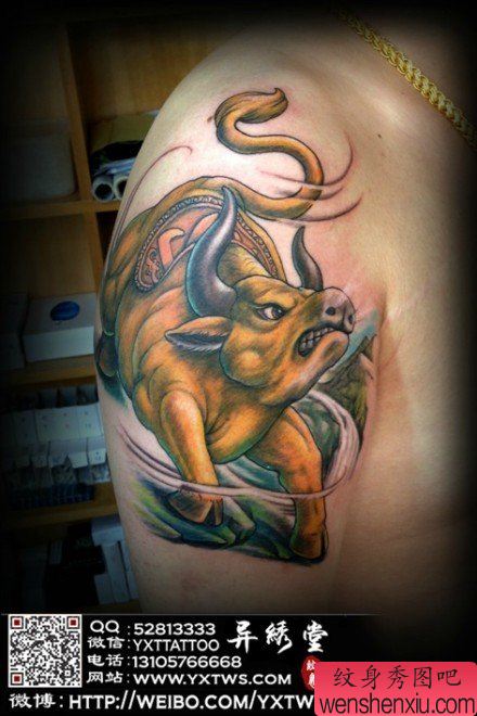 男性手臂经典的一幅大黄牛纹身图案