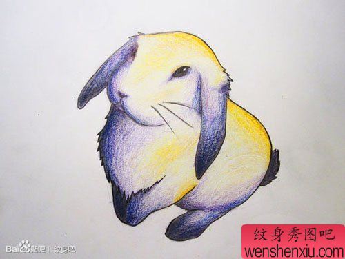 一幅可爱经典的小兔子纹身手稿