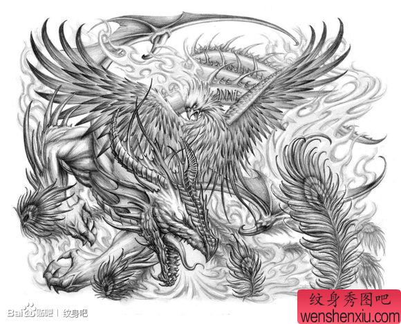一幅流行超帅的欧美龙与凤凰纹身手稿