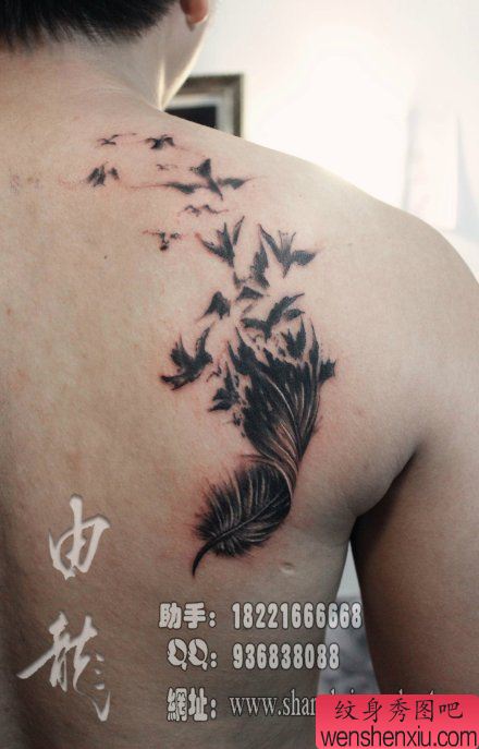 男生后背一幅流行经典的羽化燕纹身图案