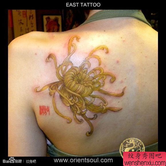 女生后背唯美漂亮的菊花纹身图案