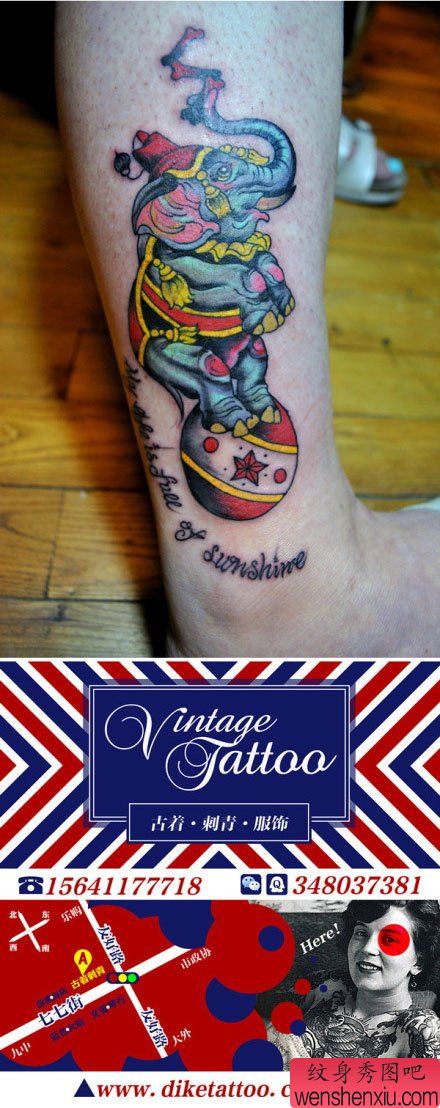 腿部一幅表演马戏的大象纹身图案
