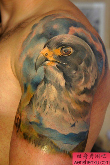 男性手臂超帅的欧美彩色老鹰纹身图案