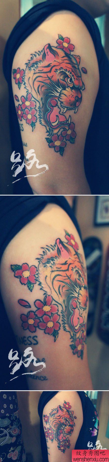 男性手臂经典流行的彩色school虎头纹身图案