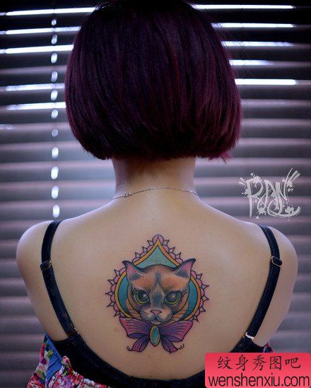 女生后背流行呆呆的猫咪纹身图案