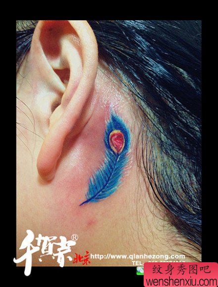 女生耳部小巧的一幅彩色羽毛纹身图案