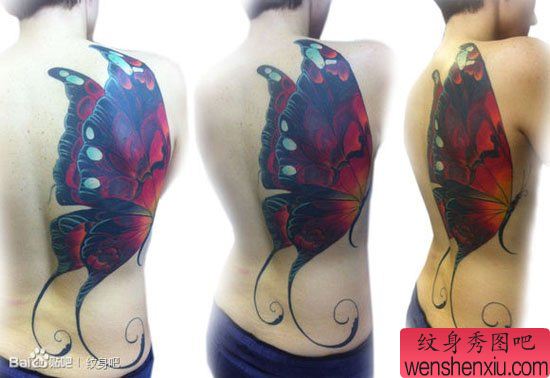 女生后背漂亮流行的蝴蝶纹身图案