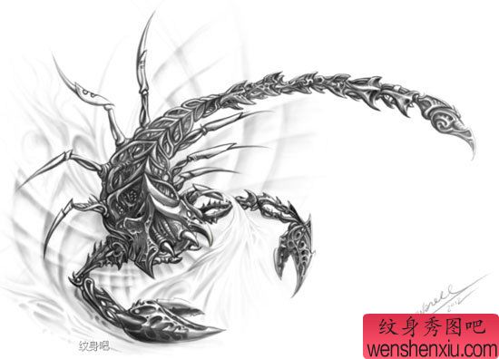 一幅很酷帅气的欧美蝎子纹身手稿