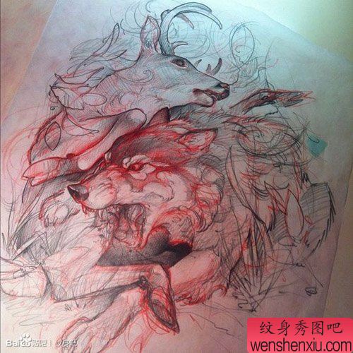 一幅经典流行的狼与鹿纹身手稿