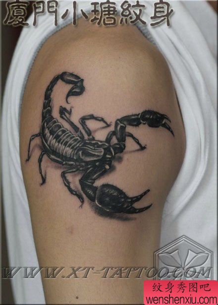 男性手臂经典的黑白写蝎子纹身图案