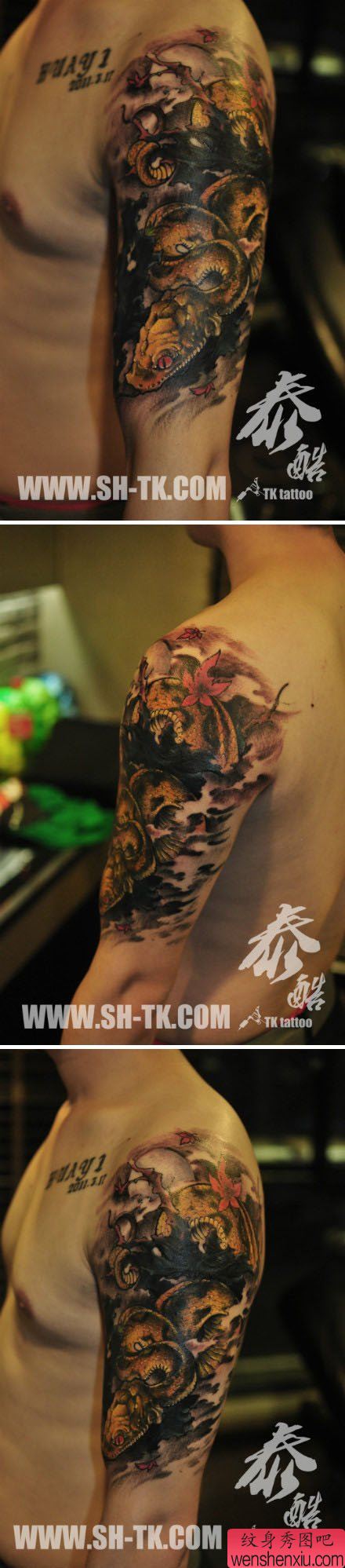 手臂精美很酷的彩色蛇纹身图案