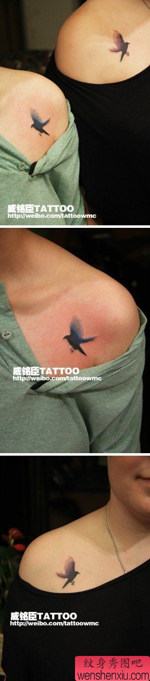 女生肩膀处小巧流行的小鸽子纹身图案