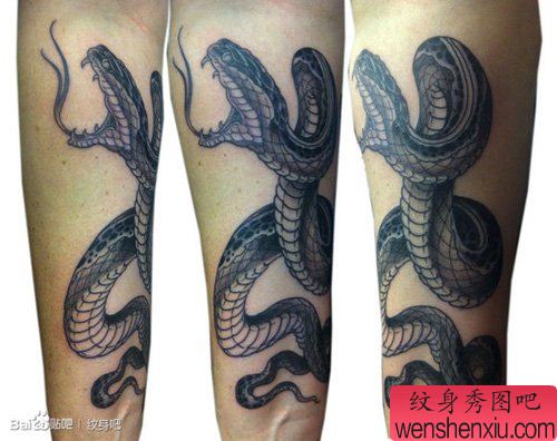 手臂流行很酷的传统黑白蛇纹身图案