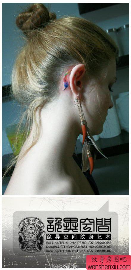 女生耳部流行小巧的羽毛纹身图案