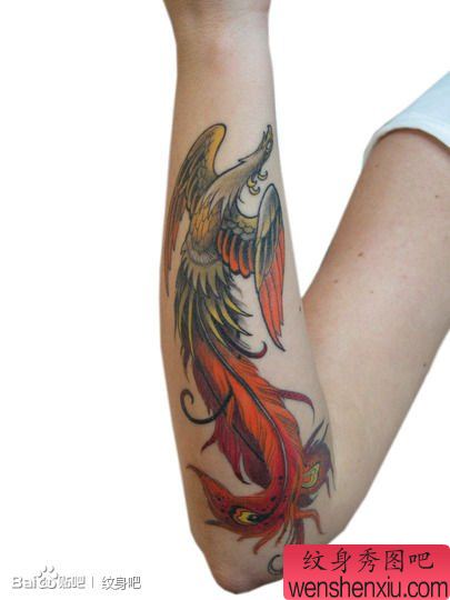 女生手臂流行经典的传统凤凰纹身图案