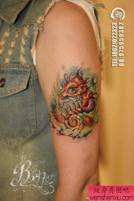 女生后背流行好看的海马纹身图案