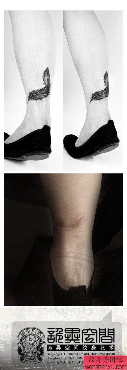 女生腿部唯美经典的羽毛纹身图案