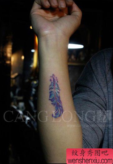 女生后背精美好看的彩色羽毛纹身图案