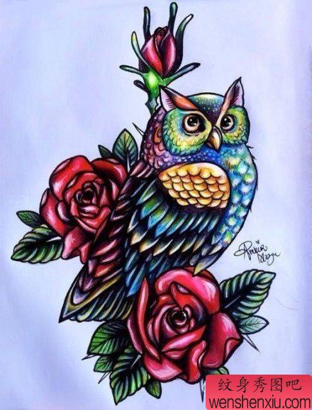 流行经典的一幅猫头鹰纹身手稿