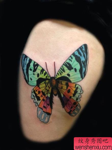 一幅漂亮好看的彩色蝴蝶纹身图案
