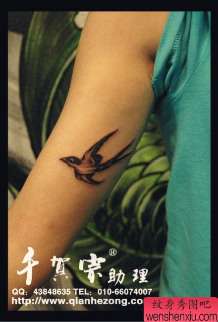 女生手臂内侧小巧流行的燕子纹身图案