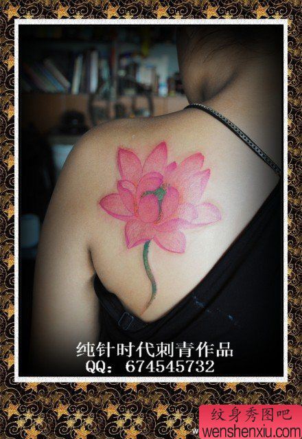 女生后肩背好看的粉色莲花纹身图案