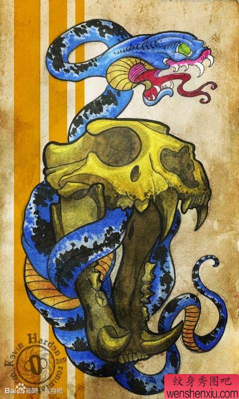 流行很帅的一幅彩色蛇纹身手稿