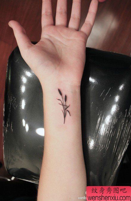 女生手腕流行小巧的芦苇草纹身图案