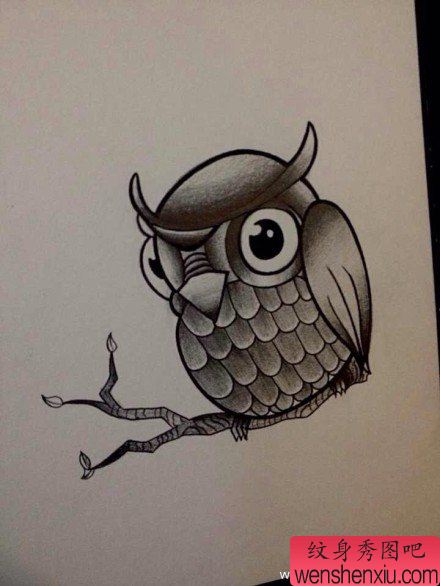 流行很萌的一幅猫头鹰纹身手稿