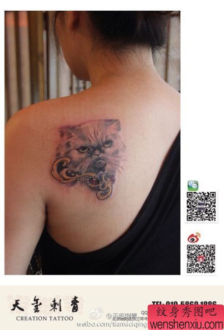 女生肩背流行经典的猫咪纹身图案