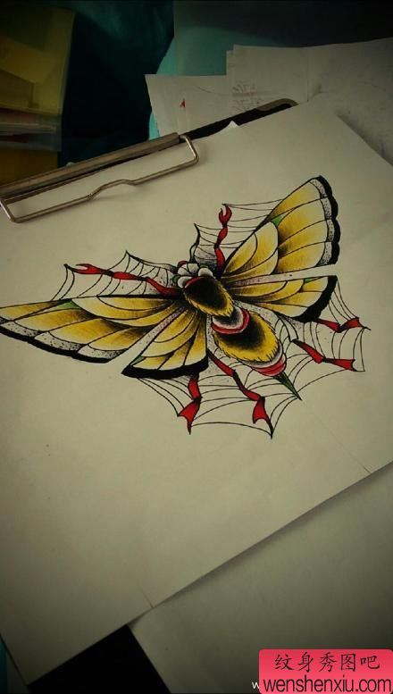 流行经典的一幅飞蛾纹身手稿