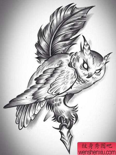 流行经典一幅黑白猫头鹰纹身手稿