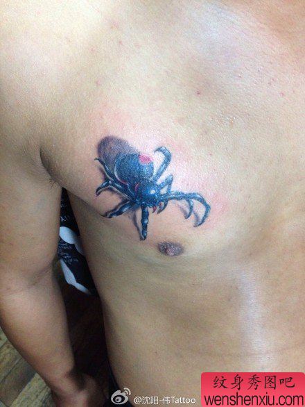 胸部一幅流行经典的蜘蛛纹身图案